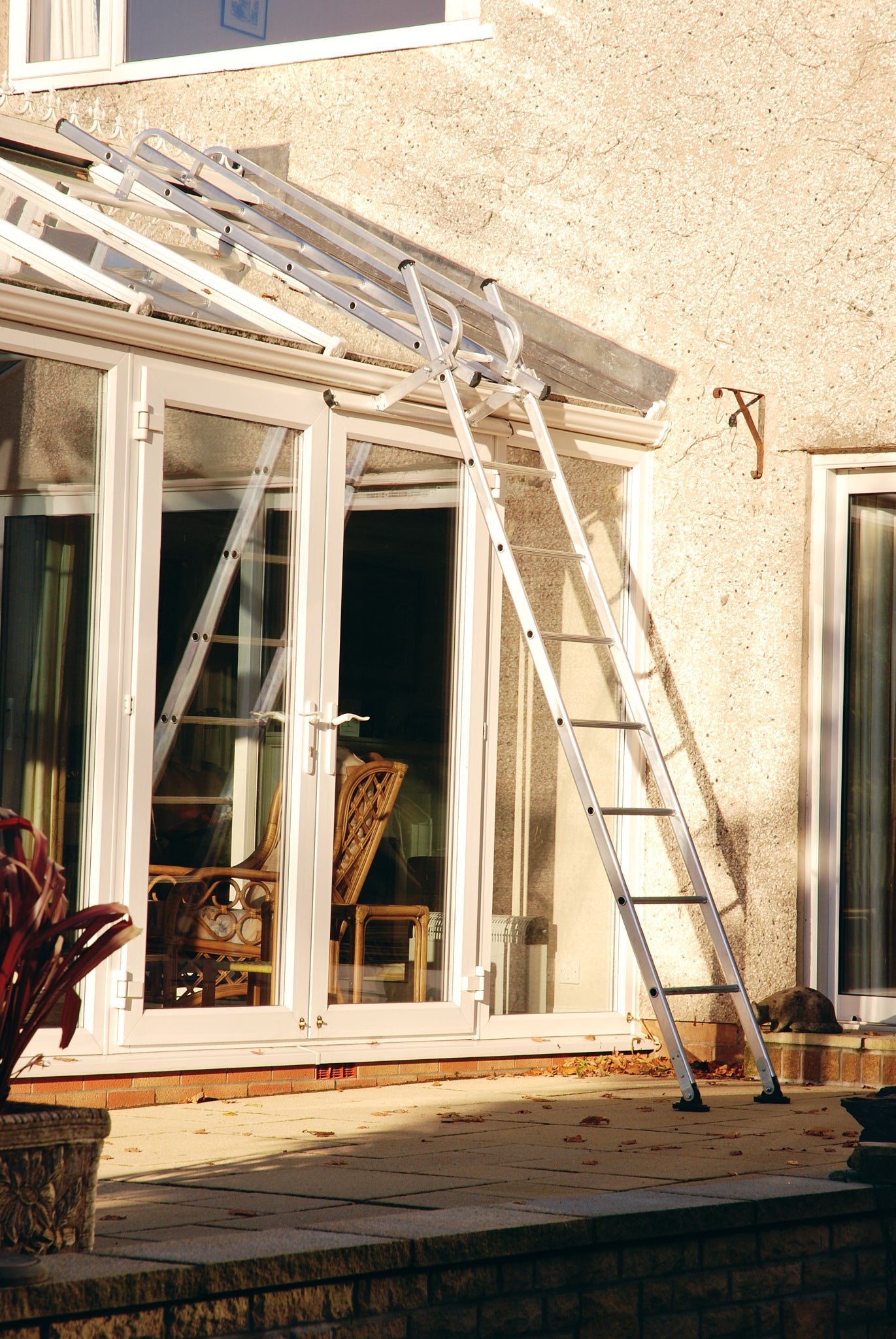 Conservatory Access Ladder